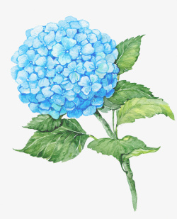 蓝色手绘的花朵装饰素材