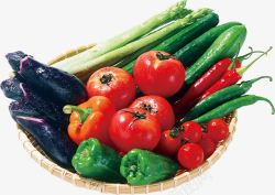 新鲜蔬菜番茄芹菜青红椒素材