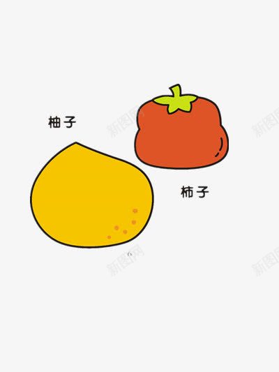 柚子和柿子png免抠素材_新图网 https://ixintu.com 水果 简单 装饰图通用