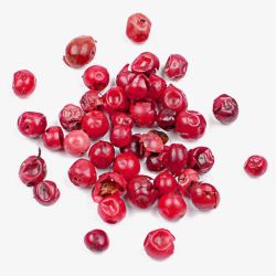 酸果蔓蔓越莓产品实物高清图片