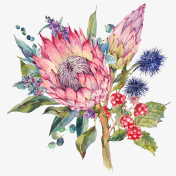 水彩鲜花素材