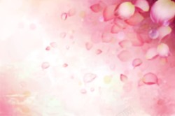 粉色花瓣浪漫装饰背景素材