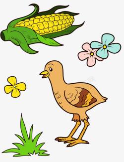 卡通小鸡吃玉米矢量图鸡吃玉米高清图片