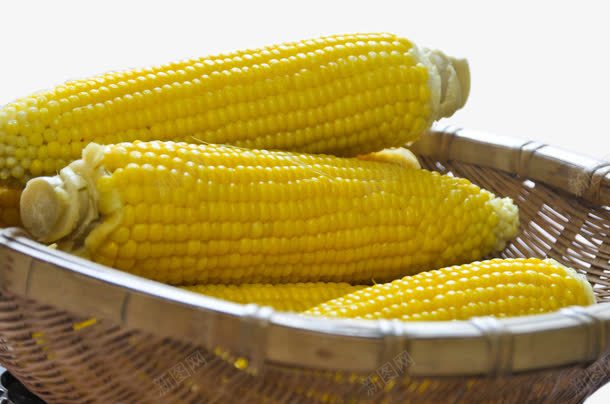 篮子中的新鲜玉米png免抠素材_新图网 https://ixintu.com 篮子中的新鲜玉米 蔬菜 食物
