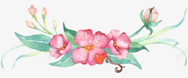 手绘粉色花朵绿叶海报png免抠素材_新图网 https://ixintu.com 海报 粉色 绿叶 花朵
