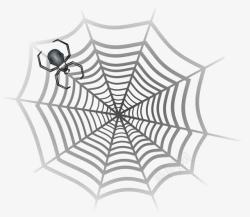 灰色的蜘蛛网和蜘蛛素材