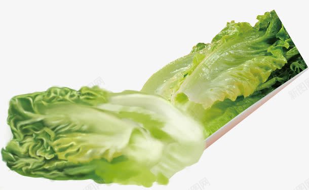 绿色夏季蔬菜png免抠素材_新图网 https://ixintu.com 夏季 绿色 蔬菜