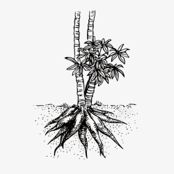 手绘植物根部矢量图素材