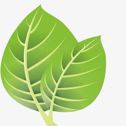 卡通绿叶植物图案png免抠素材_新图网 https://ixintu.com 卡通 叶子 手绘图 树叶 桔梗 植物 绿叶 绿植