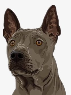 清晰动物卡通的黑狗高清图片