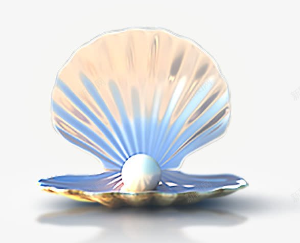 海贝png免抠素材_新图网 https://ixintu.com 彩色 海贝 珍珠