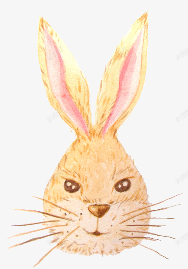 黄色美丽可爱的小兔子png免抠素材_新图网 https://ixintu.com 创意 动物手绘 卡通图案 小兔子 美丽可爱 黄色
