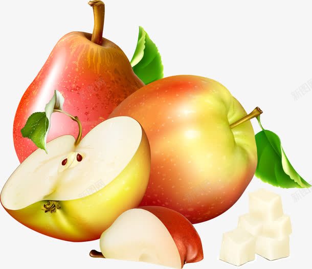有机苹果和梨子png免抠素材_新图网 https://ixintu.com 卡通水果 梨子 水果 矢量水果 矢量苹果 苹果