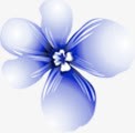 摄影蓝色海报花朵素材