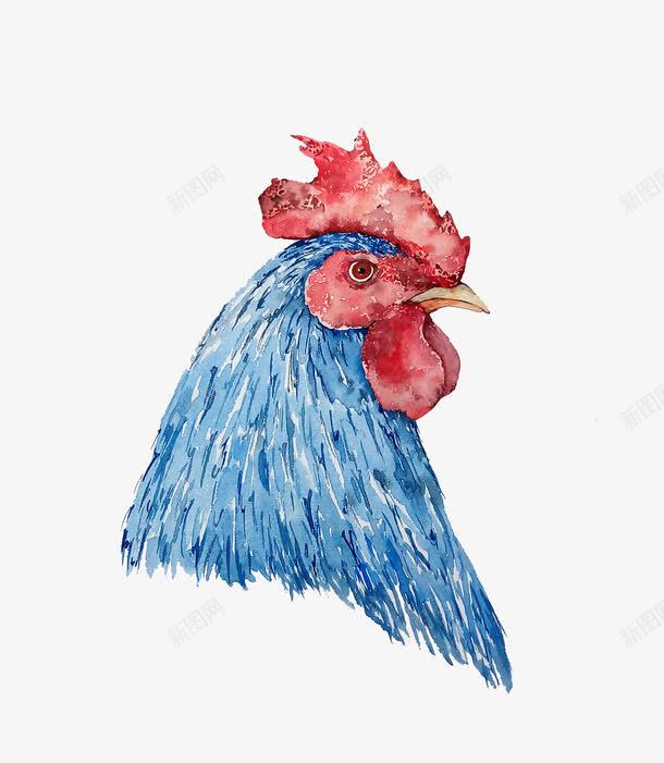 蓝色公鸡图案png免抠素材_新图网 https://ixintu.com 公鸡 公鸡头图案 蓝公鸡