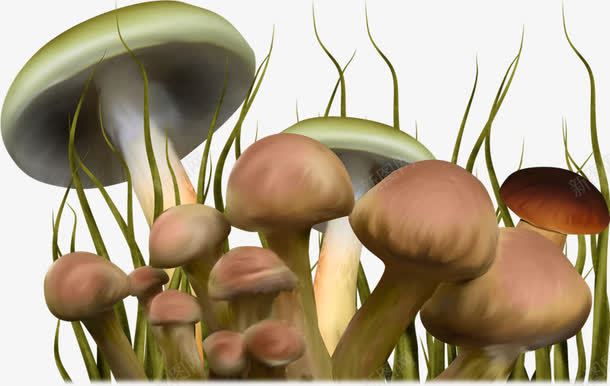 童话世界卡通手绘蘑菇png免抠素材_新图网 https://ixintu.com 卡通 手绘 童话世界 蘑菇