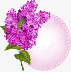 紫色薰衣草装饰留言板素材