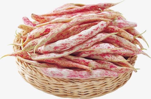 一筐红色豆子png免抠素材_新图网 https://ixintu.com 一筐 红色 豆子 豆角 食材
