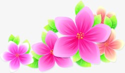 五朵粉色花朵夏天素材