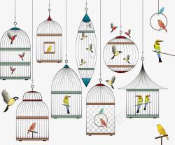 漂浮彩色各式鸟和鸟笼漂浮彩色各式鸟和鸟笼高清图片