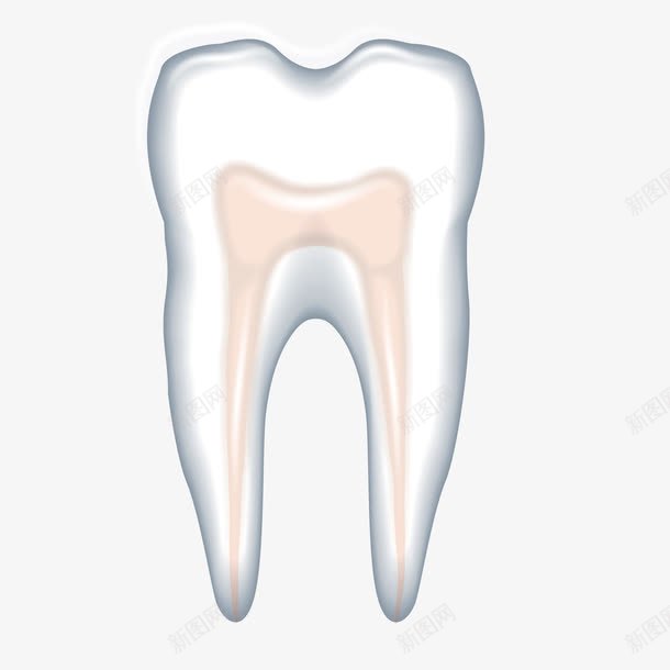 一颗牙png免抠素材_新图网 https://ixintu.com 口腔 器官 牙齿 装饰
