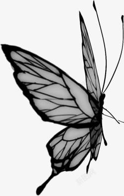 黑色飞舞蝴蝶手绘素材
