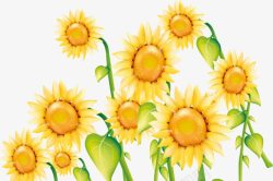 创意手绘合成黄色的向日葵花卉素材