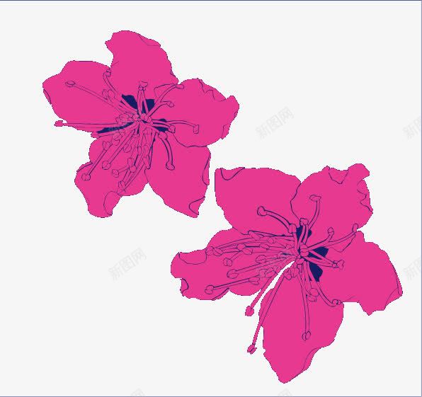 自然界的精灵png免抠素材_新图网 https://ixintu.com 卡通 散花 紫色 绘画 艺术 花卉