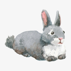 手绘水彩可爱小兔子素材