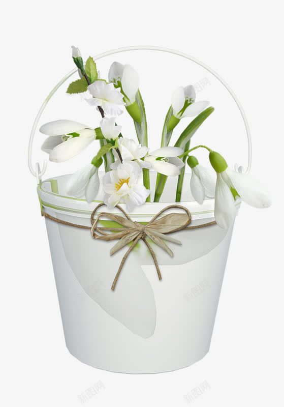 桶里的鲜花png免抠素材_新图网 https://ixintu.com 植物 水仙 白色桶 白色鲜花 鲜花