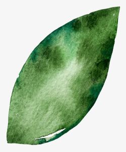 水墨手绘绿色叶子素材