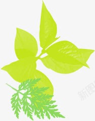 绿色环保树叶植物装饰png免抠素材_新图网 https://ixintu.com 树叶 植物 环保 绿色 装饰
