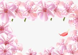 粉色鲜花花卉背景图素材