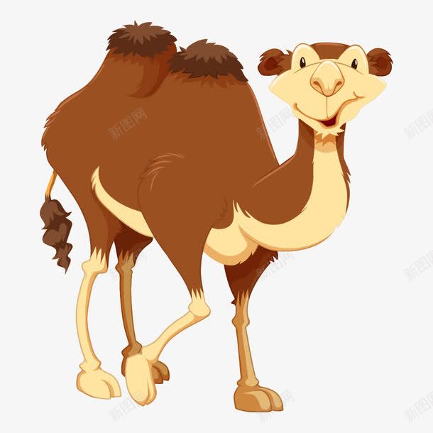 卡通骆驼png免抠素材_新图网 https://ixintu.com 动物 卡通动物 插画 骆驼