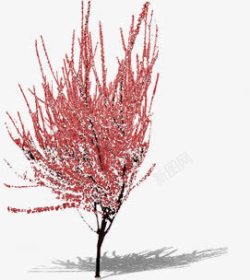 红色小花雪后树枝素材