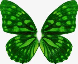 绿色艺术亮光蝴蝶素材
