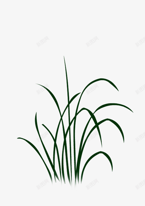 绘画植物png免抠素材_新图网 https://ixintu.com 绘画植物 绿色 自然 草