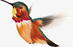 鸟彩绘装饰矢量图素材
