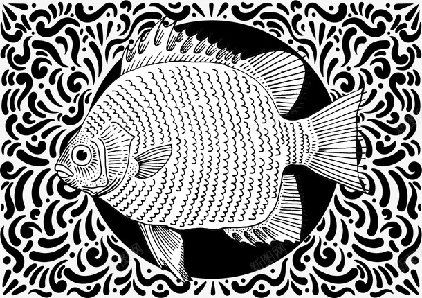 鳊鱼黑色png免抠素材_新图网 https://ixintu.com 海洋 海洋物种 海洋生物 海里生物 生物 黑色鳊鱼