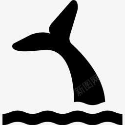 鲸鱼查看名项目图标png_新图网 https://ixintu.com Viewing Whale 椴搁奔 鏌湅