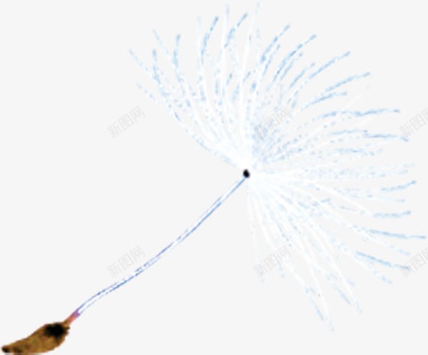 春天白色蒲公英种子装饰png免抠素材_新图网 https://ixintu.com 春天 白色 种子 蒲公英 装饰