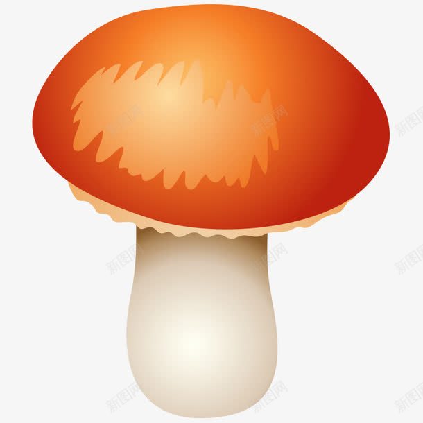 蘑菇菌类菇png免抠素材_新图网 https://ixintu.com 卡通 卡通蘑菇 菇 菌子 菌类 蘑菇