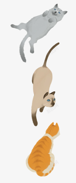 猫免扣图手绘猫高清图片