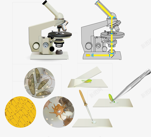 显微镜矢量图eps免抠素材_新图网 https://ixintu.com 免费矢量下载 工具 显微镜 镊子 矢量图