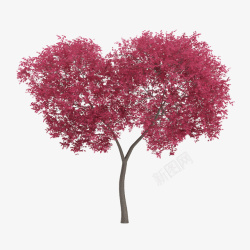 心形红色叶子枝条树木素材
