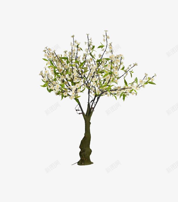 一棵白花树png免抠素材_新图网 https://ixintu.com 一棵树 仿真树 植物 白色花