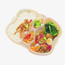 牛腩煨豆腐美食牛腩饭便当高清图片