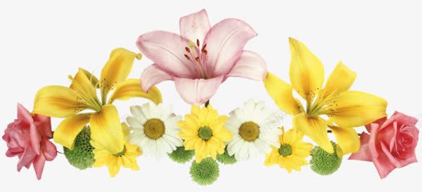 黄色白色花朵装饰png免抠素材_新图网 https://ixintu.com 图片 白色 花朵 装饰 黄色