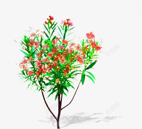 粉色花朵植物景观装饰png免抠素材_新图网 https://ixintu.com 景观 植物 粉色 花朵 装饰