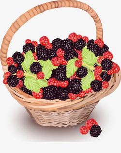 装满黑莓红莓的篮子素材